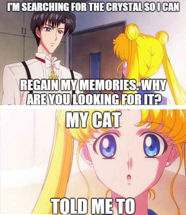 Relatable Anime Memes Only Nerds Will Understand  Memebase  Funny Memes